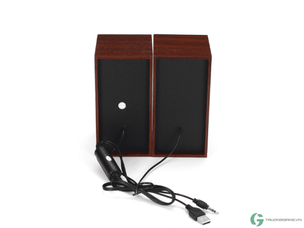 loa-vi-tinh-wooden-speaker