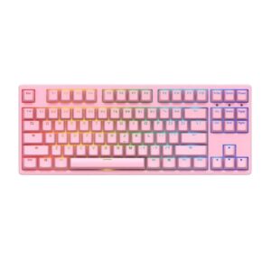 BÀN PHÍM CƠ AKKO 3087S RGB PINK AKKO BLUE SWITCH