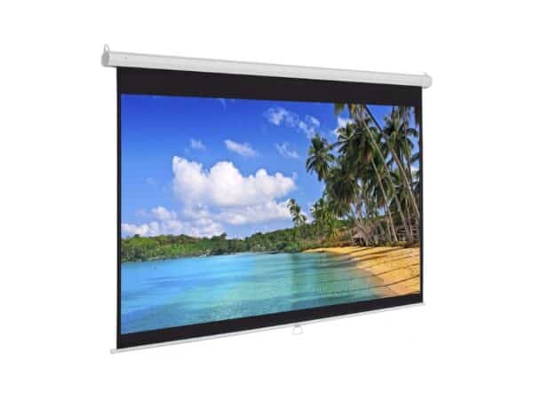 Màn chiếu treo tường Exzen Dalite 100 inch (2)