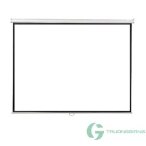 Màn chiếu treo tường Exzen Dalite 100 inch