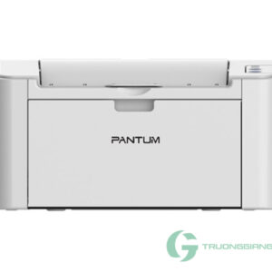 Máy in đơn chức năng Pantum P2200W