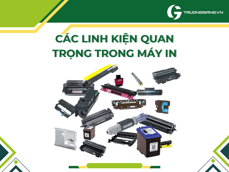 Các linh kiện máy in quang trọng mà bạn cần biết?