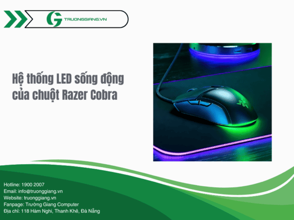 Chuột có LED sống động tuỳ chỉnh