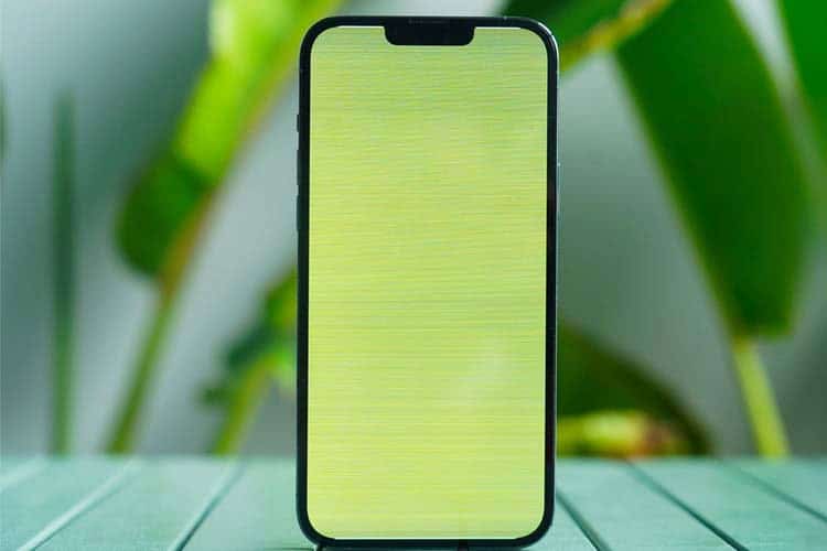 Biểu hiện lỗi xanh trắng màn hình iPhone 13 Pro Max