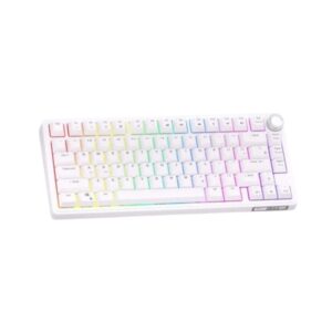Bàn Phím Cơ RK R75 1 Mode (Led RGB/ Full Foam/ Gasket Mount)