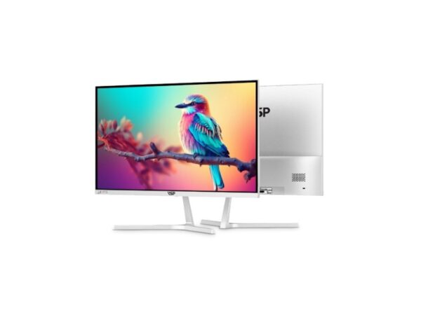 Màn hình VSP 24 inch 2407S 3